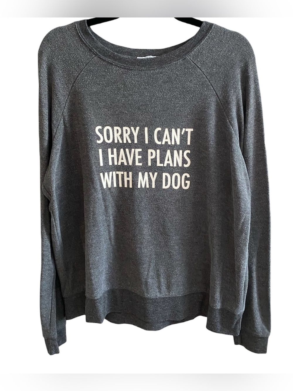 Charcoal Gray 'Sorry I Can't I Have Plans With My Dog' Lightweight Sweatshirt